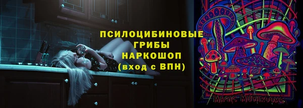 сатива Корсаков