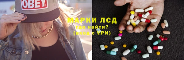 сатива Корсаков