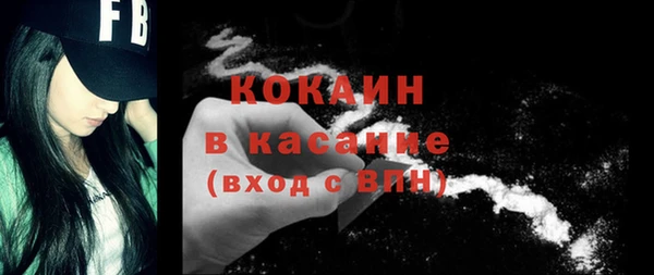 сатива Корсаков