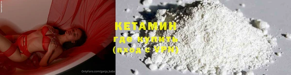 сатива Корсаков