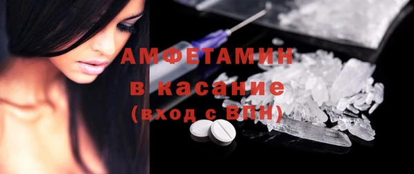 сатива Корсаков