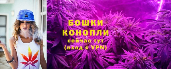 прущие крисы Костерёво