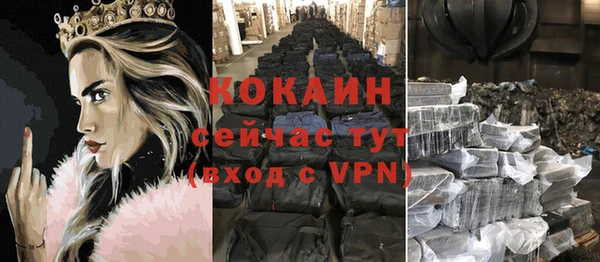 сатива Корсаков