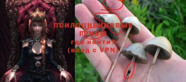 прущие крисы Костерёво